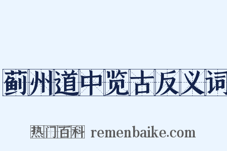 蓟州道中览古反义词是什么意思的图片